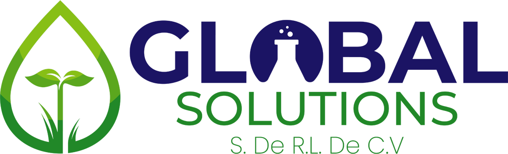 Global Solutions